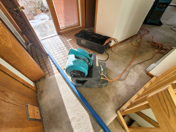 Best Mold removal after water damage  in Lawndale, CA