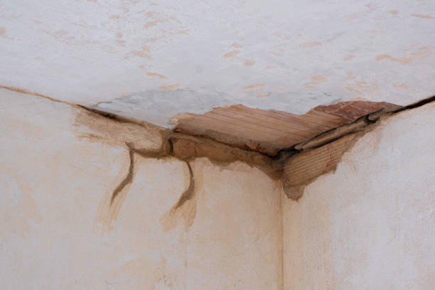 Best Professional water damage repair  in Lawndale, CA