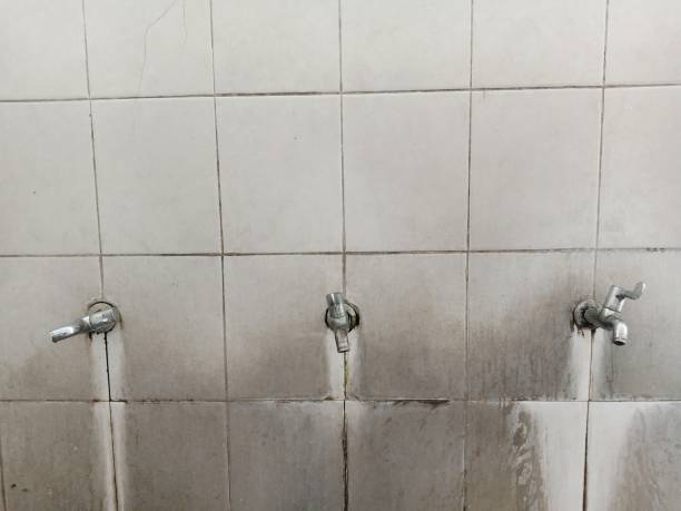 Best Local water damage restoration  in Lawndale, CA